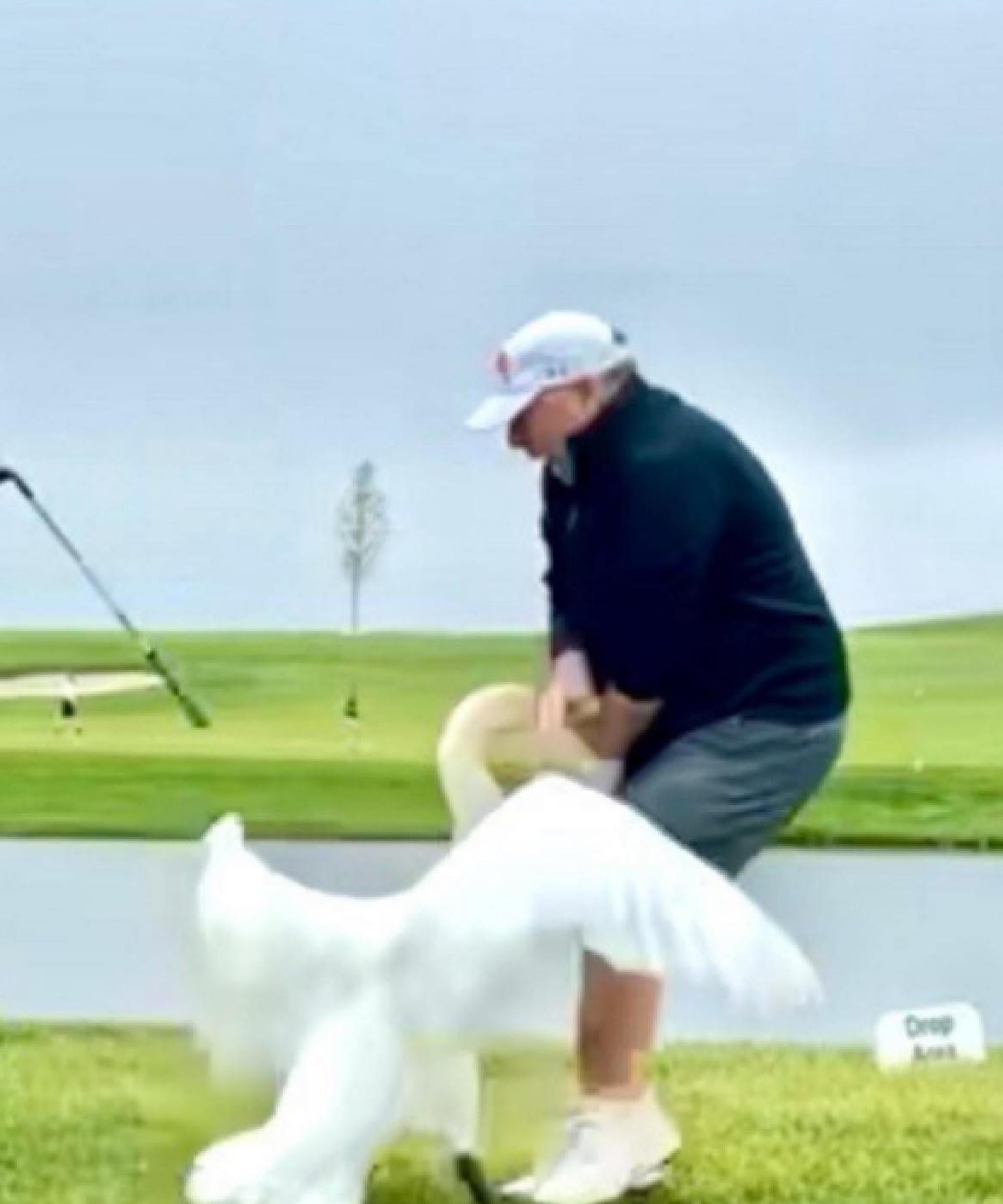 Donald Trump warns fans: ‘Golf can be dangerous’ with wild goose photo