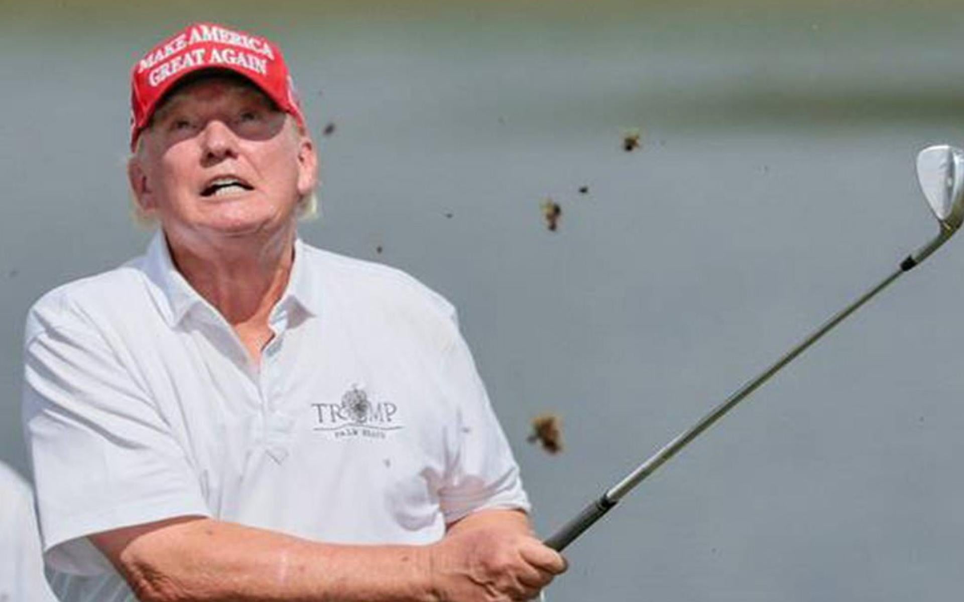 Donald Trump playing golf